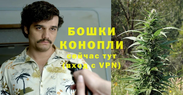 дживик Балахна