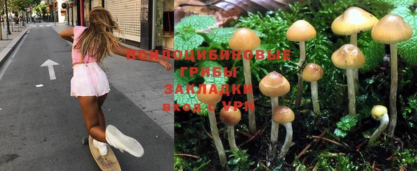 дживик Балахна