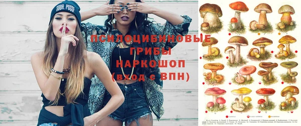 дживик Балахна