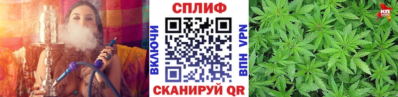 Купить где  Джанкой  Бошки марихуана Ganja 